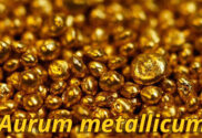 Aurum Metallicum