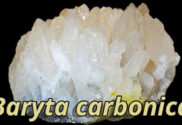 Baryta Carbonica: Um Medicamento Homeopático