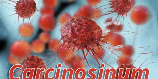 Carcinosinum: O Remédio Homeopático